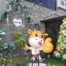 푸름한우 이미지