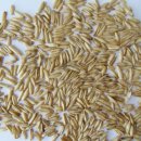 강진슈퍼 이미지