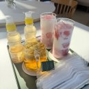 세화문경약돌한우 | 문경 나들이 단체 여행 “카페서들”, “문경약돌한우타운”, “명주정원” 내돈내산 솔직후기