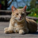 신내동물병원 이미지