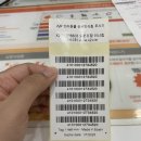 화정힐동물병원 네이버블로그