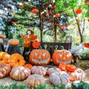 들꽃목장 이미지