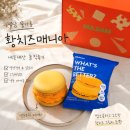 스타일매니아 - 미추홀구 주안동 | [널담 뚱카롱] 황치즈매니아 내돈내산 후기 | 영양정보·칼로리·냉동 마카롱 추천