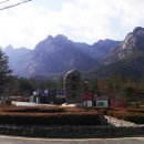 월암축산 Daum카페