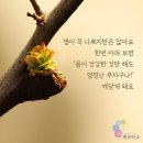 오늘도59 네이버블로그