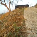 우아농장 이미지