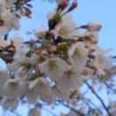 부산새벽시장 이미지