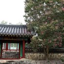 성주도씨 종중 이미지