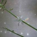 동네미용실 이미지