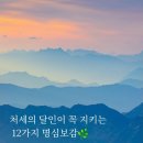 하루좋은글.🍀🌳 처세의 달인이 꼭 지키는 12가지 명심보감 이미지