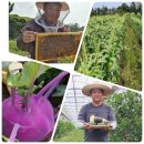 손병곤 농장 이미지