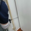 다듬이 | 부산방역 먼지다듬이 후기 / 원룸에 좁쌀만한 벌레 떼로 나와서 소름돋았어요