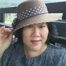 미림황토별펜션 Daum카페