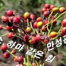 공물소