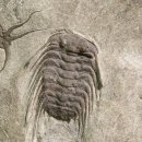 MUSCLE UP STORY 이미지