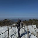 소백산자락길 제4코스 | 단양 소백산 등산코스 추천 어의곡 비로봉 최단코스 원점회귀 소요시간