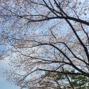 시립비둘기어린이집 이미지