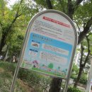 장선배기길 이미지