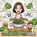 셀터스 | 궁채 효능 부작용 뜻 궁채나물 장아찌 먹는법 총정리