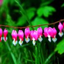 더큰사랑의원 이미지