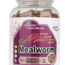 헬로 리틀 애니멀 이미지