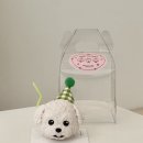 도그투케이크 | 청주강아지케이크 “도그투케이크”수제간식,강아지케이크 강추 솔직후기