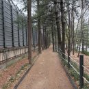 명달근린공원 이미지