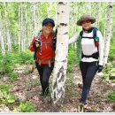 정기나무골 이미지