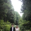[Wedding]#14. 8월의 제주스냅, 제주의오후x포르포라 촬영후기 -이성민 작가님, 제주의 오늘