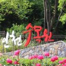 암남공원2호광장(다목적광장) | 서울인천지역 인천수목원,식물원 나들이 여행,데이트코스