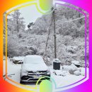 홍천(서울) | 강원도 홍천 캠핑장 추천、홍천알지캠프266 재방문 후기 서울근교 힐링 오토캠핑장