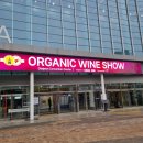 배혜령 | [2024 대전 국제와인엑스포] 대전 와인엑스포 및 칠락와인 부스 알바 후기