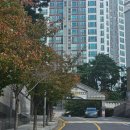 서울불광초등학교 | 서울 아파트 임장 후기 :: 은평구 연신내 북한산힐스테이트7차