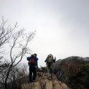 명학초등학교 이미지