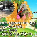 하나영상