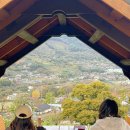 화개농원 | 하동 여행지 추천 혜림농원 티크닉 힐링 이색 체험 카페 솔직 후기