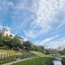 미사초등학교 | 미사 맛집 피자 애견동반 가능한 테라스 끝내주는 더피제리아마켓 하남미사 리얼후기