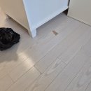 용산-현장-67 | 마루찍힘 보수 심해 보여도 교체는 아니었어요 (실제 보수 현장 후기)