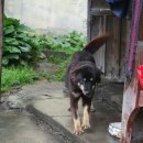 양숙이네 이미지