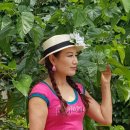 금강요양병원 이미지