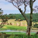 서산수 휴양콘도미니엄 | 충청도골프장 서산수CC 1박2일골프패키지 서산수골프앤리조트 정보 서산수라운딩 후기