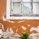 청양식당 이미지