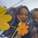 진천 카페 가볼만한곳 폴린커피 로스팅룸 코스모스 명소 다녀온 후기