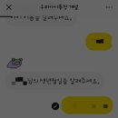 아이카카오