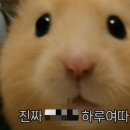 평원목장 | 인생에서 한번이면 충분한, 몽골 5박 6일 여행 후기 [2탄]