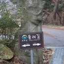 깃대봉(392m△안흥 453)한가터봉(703)길아치봉(722)숫 둔 봉(747)치악산(701m)곰바우봉(627)/ 강원 원주 이미지