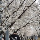 참사랑약국 | [영주] 택지 카페 추천 - 디아이오 베이커리 (주차 편한 영주빵집)