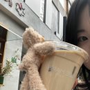 상하이 | 상하이 후기