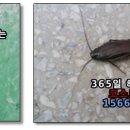 코스트크린