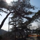 삼막사 삼귀자 | 초보산꾼 서울근교 : 삼막사 . 염불암(관악산 삼성산) - 이어보기.. 삼막사 고개 넘어 가는 길에..(13년)